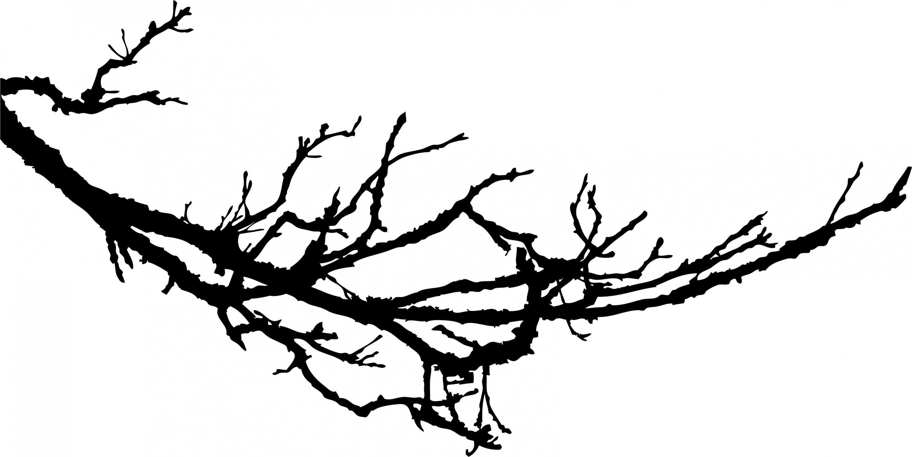 Clipart Tree Branch Silhouette.