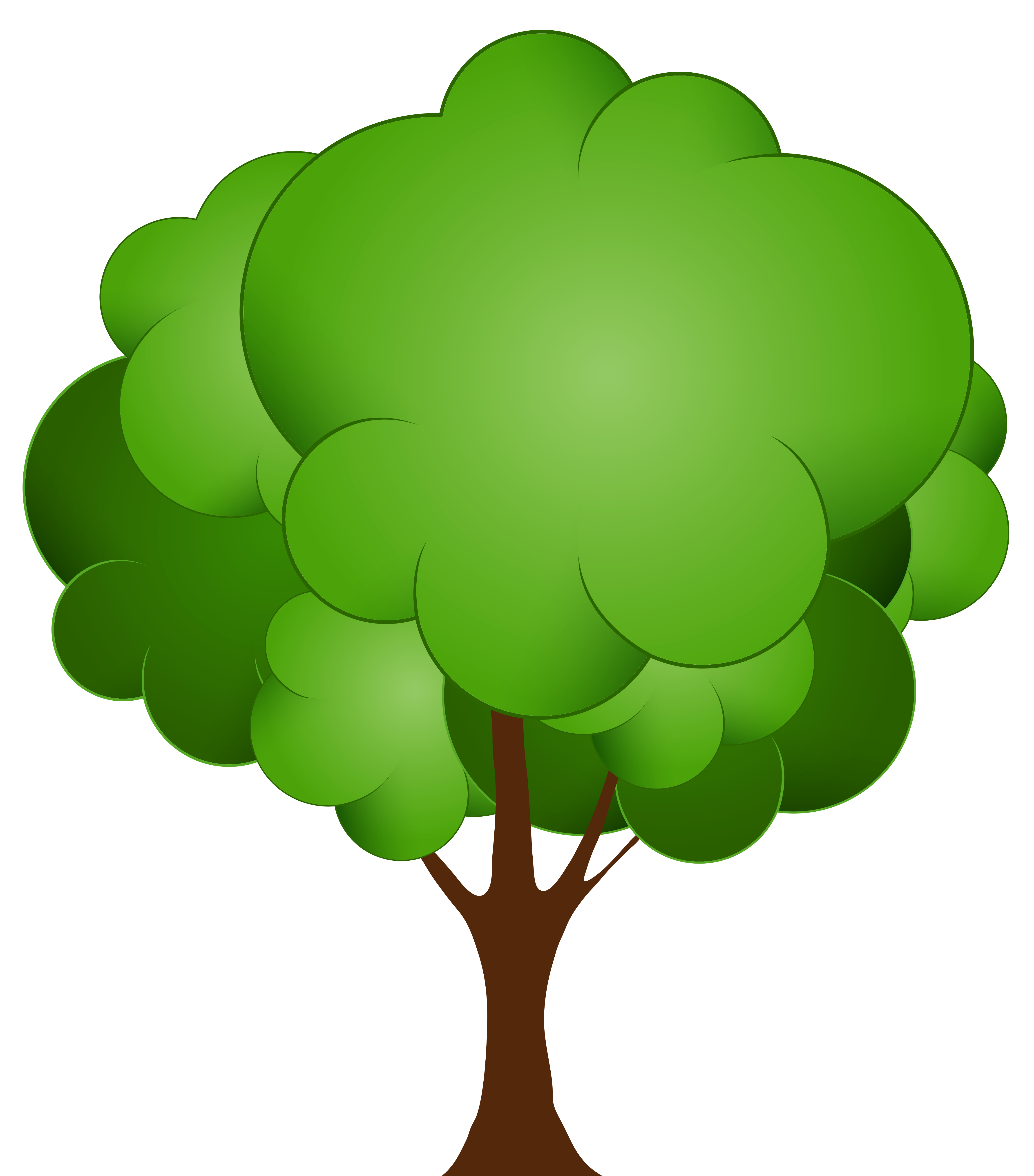 png tree clipart