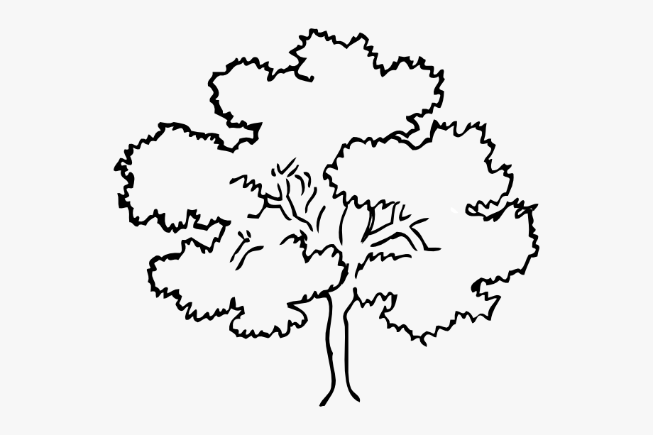 tree clipart black and white png 10 free Cliparts | Download images on ...
