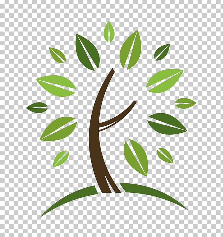 Tree Logo Business PNG, Clipart, Acorn School, Arborist.