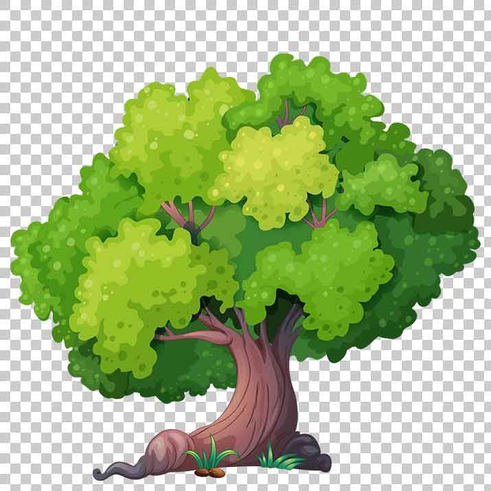 Transparent Tree Clipart PNG Image Free Download searchpng.com.