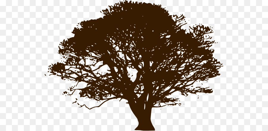 Oak Tree Silhouette.