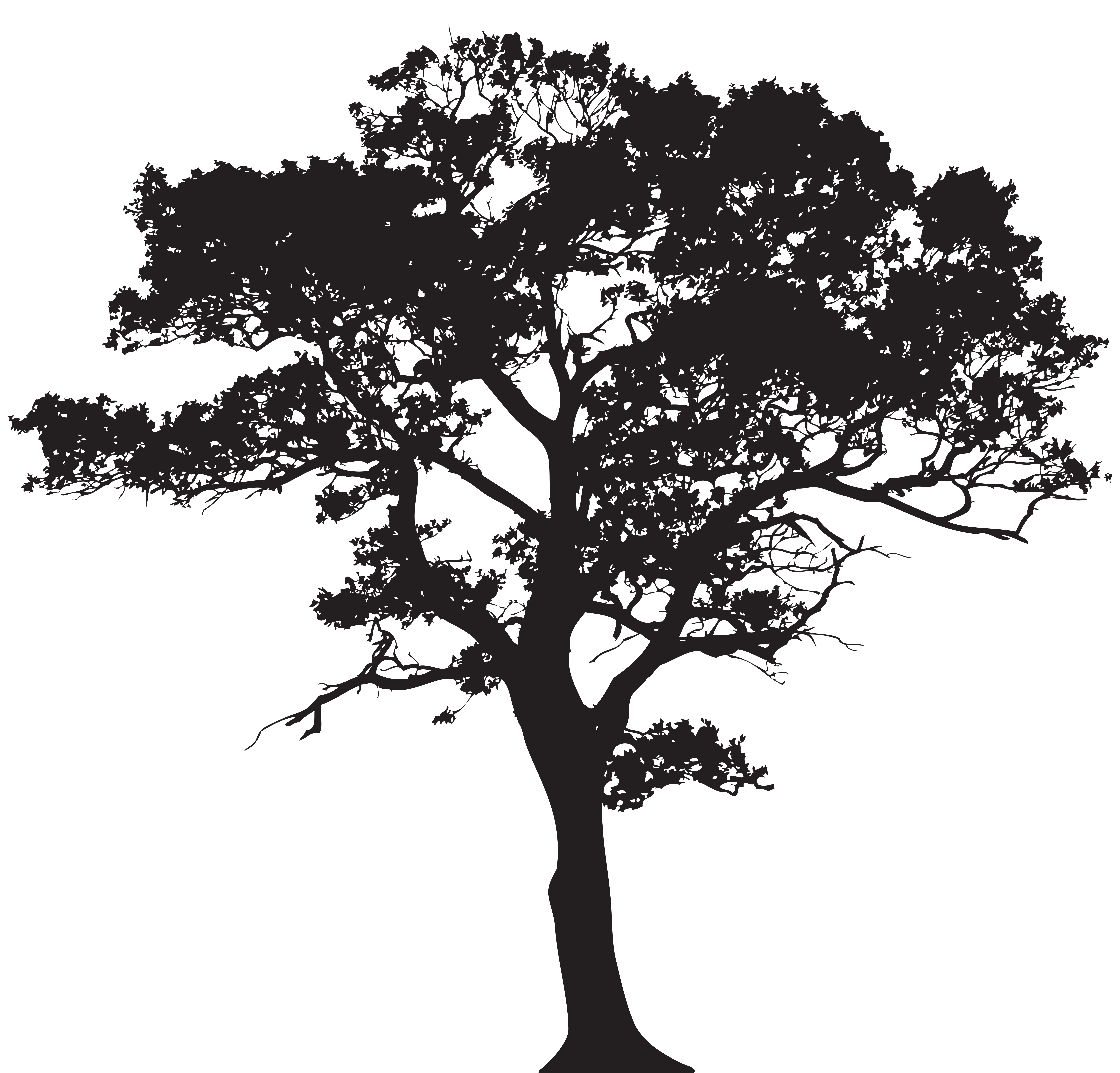 Silhouette Tree PNG Clip Art Image.