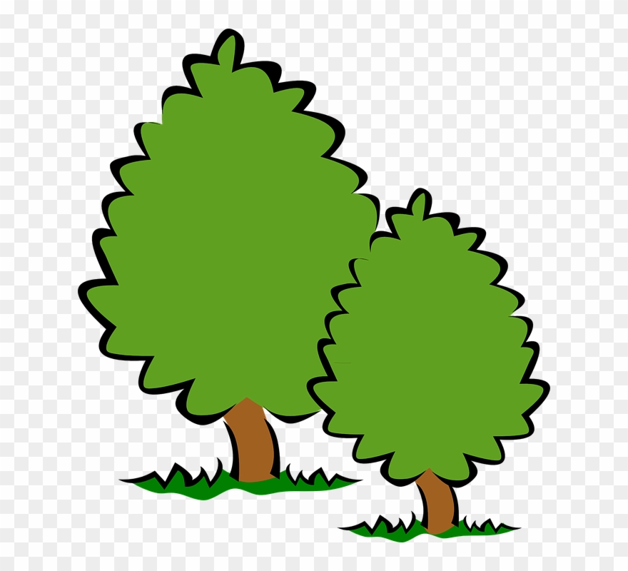 Trees Tree Clip Art Background Free Clipart Images.