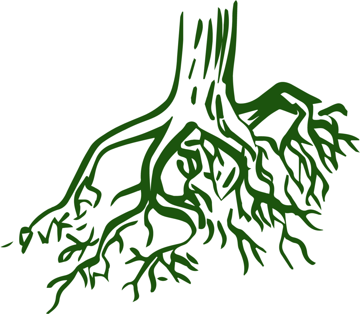 Download 342+ Tree With Roots Coloring Pages PNG PDF File - Free Custom