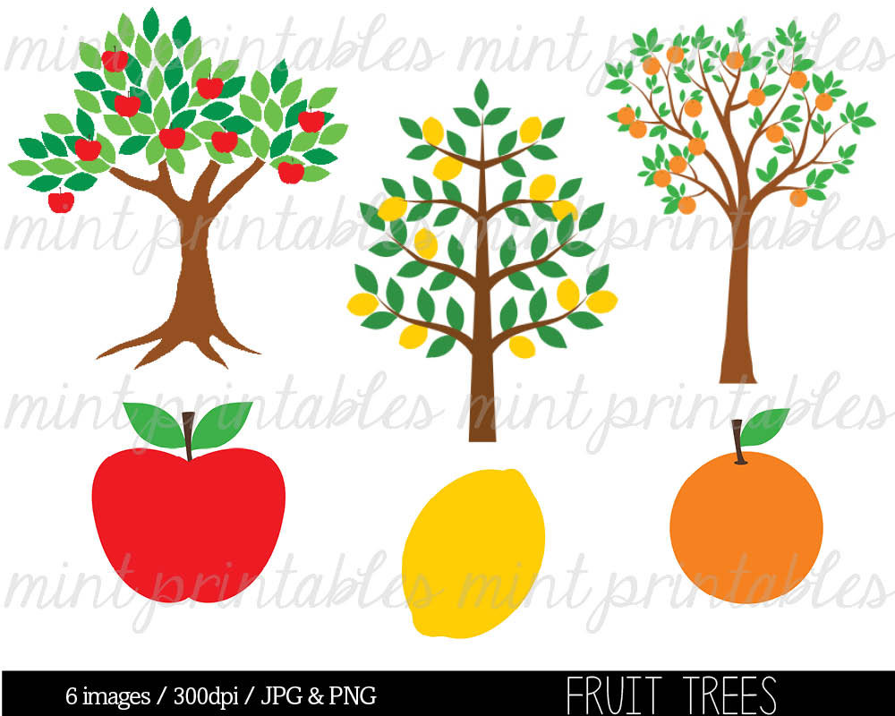 Apple tree without fruit clipart.