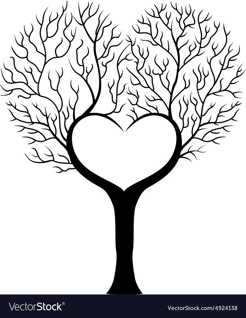 Tree branch in shape of heart.