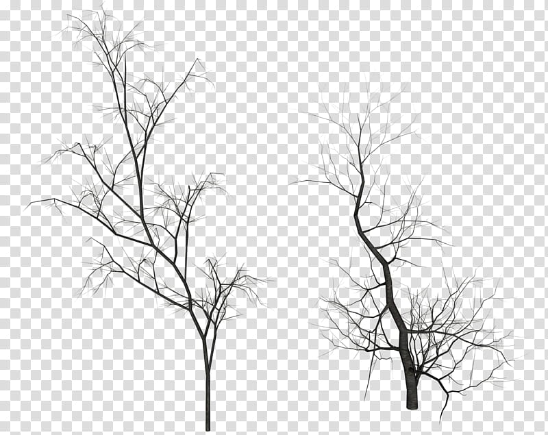 Dead Trees, two bare trees illustrations transparent.