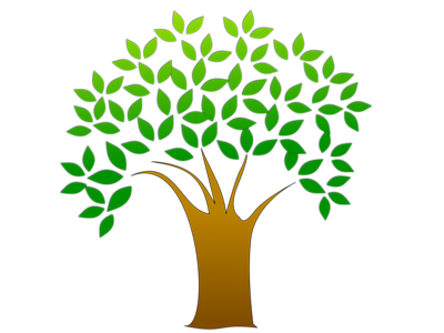 Clipart Tree Without Leaves.