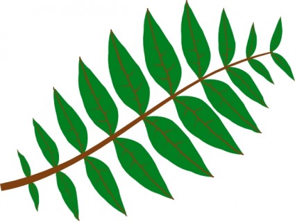 Clipart Tree With Branches And Leaves.