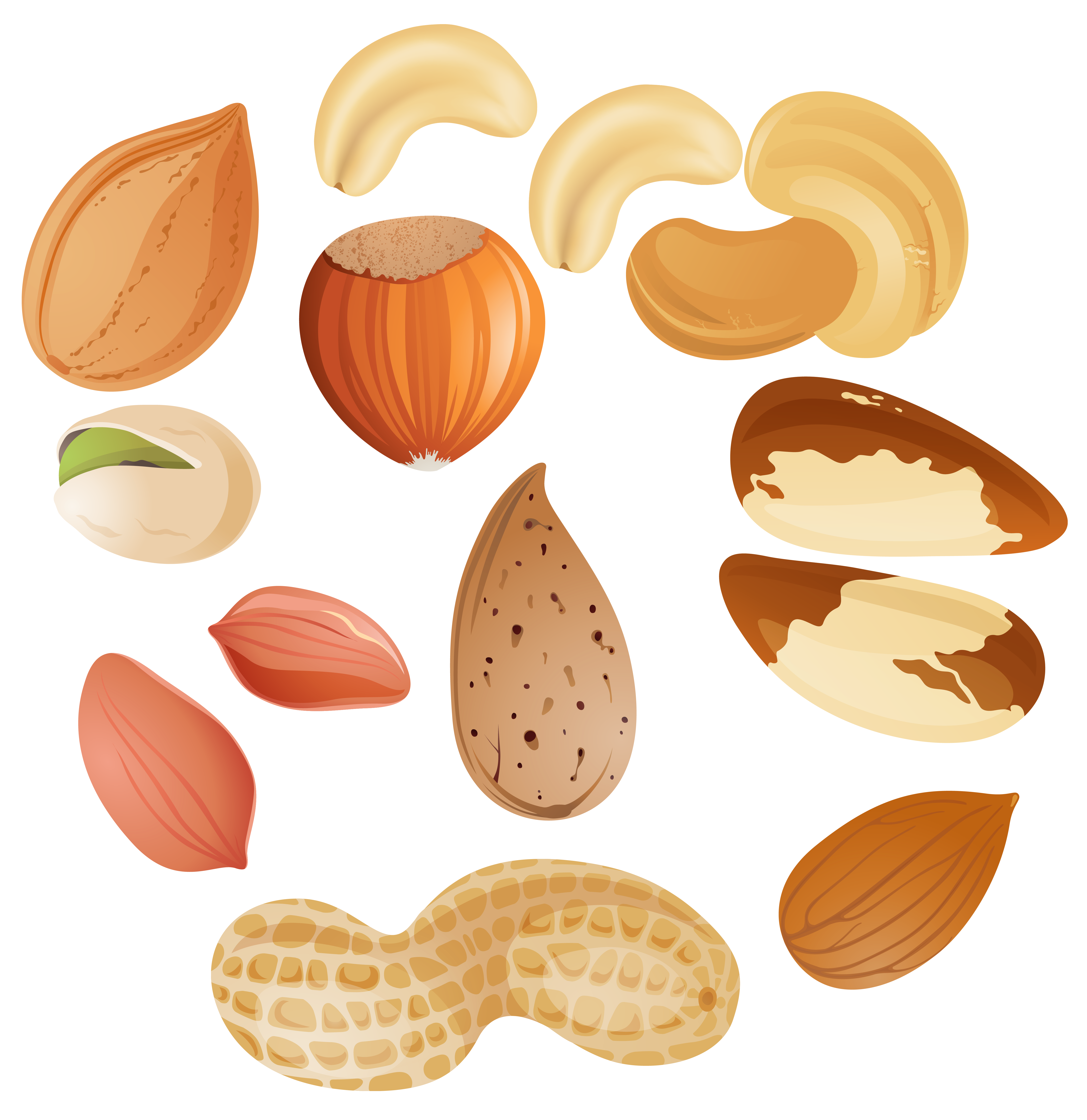 tree-nut-clipart-20-free-cliparts-download-images-on-clipground-2023