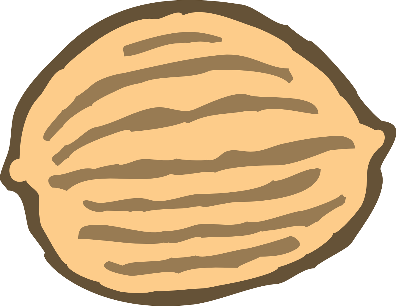 Tree nut clipart.