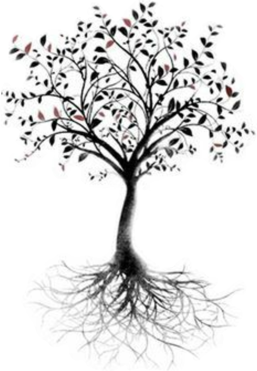 Tree of life Root Tattoo Branch.