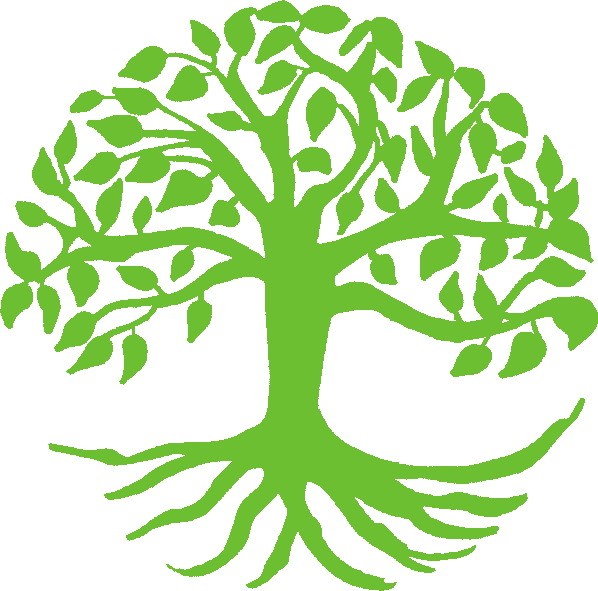 Tree Life Cycle Clip Art