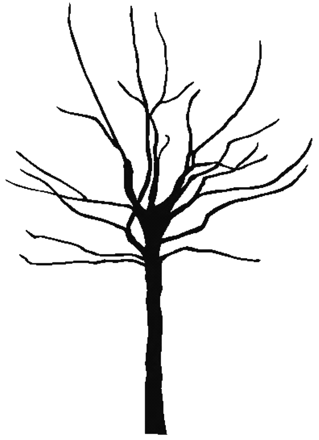 Free Leafless Tree Outline Printable, Download Free Clip Art.