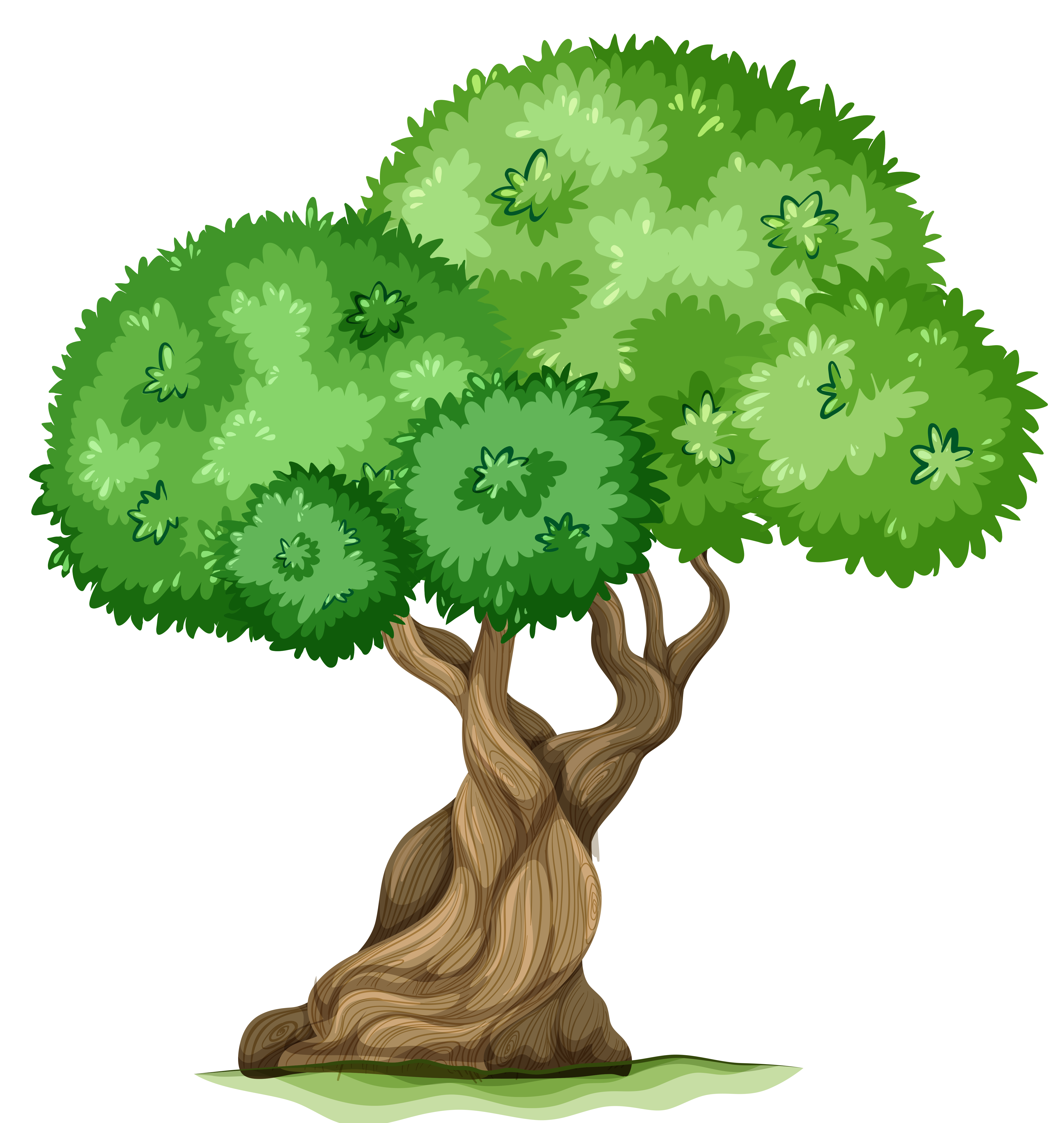 Tree PNG Clipart Picture.