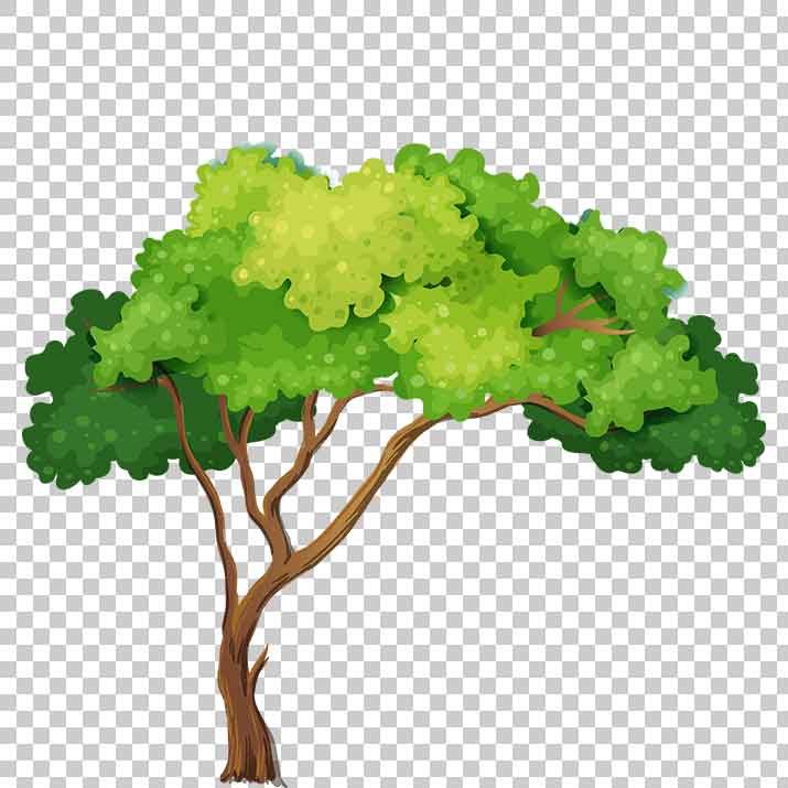 Comic Tree PNG Image Free Download searchpng.com.