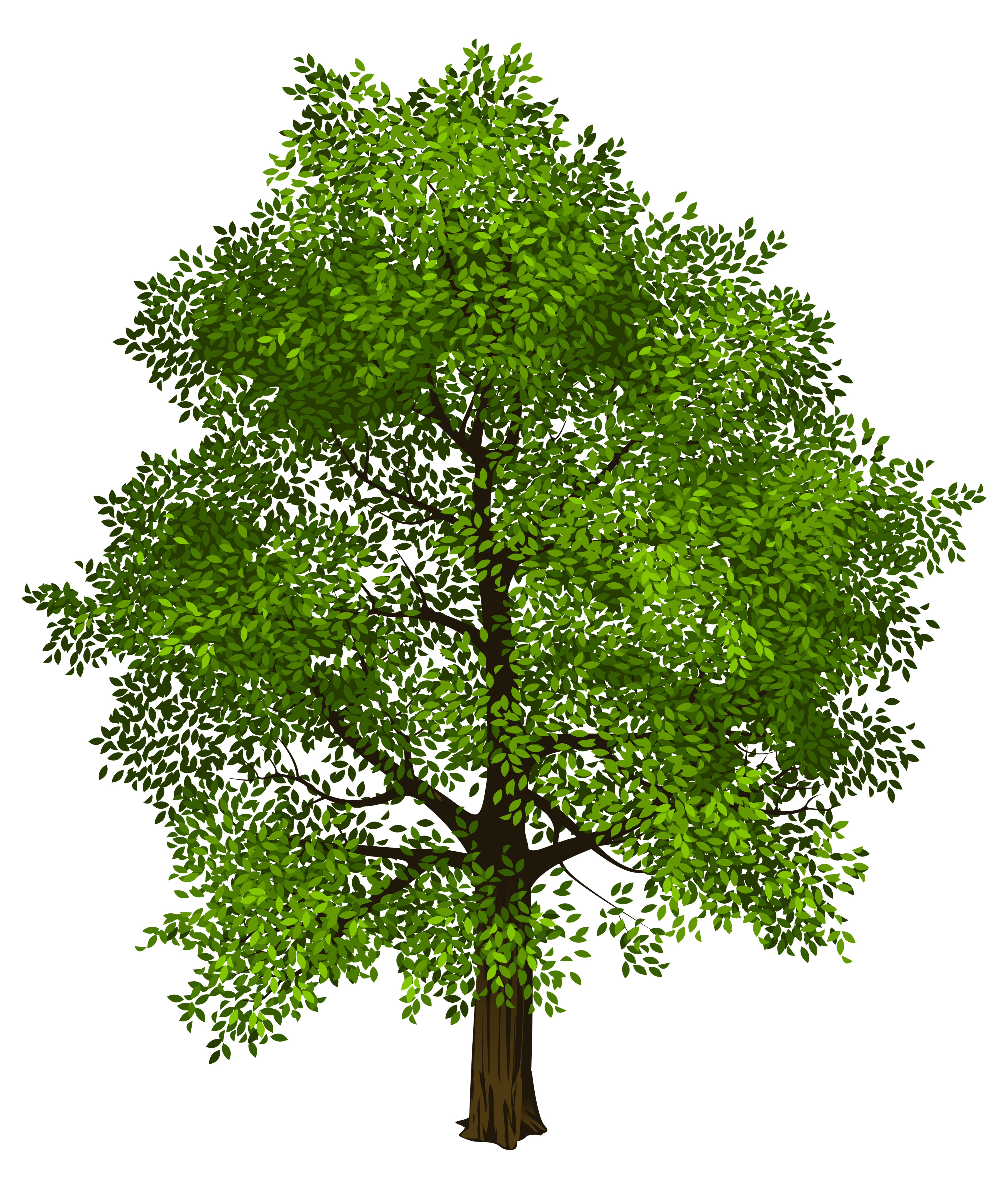 Transparent Green Tree PNG Picture.