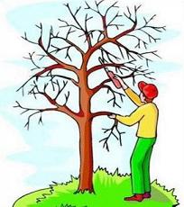 Free Pruning Trees Clipart.
