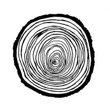 Tree ring clipart.