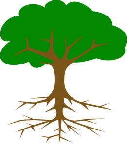Tree clipart with roots.