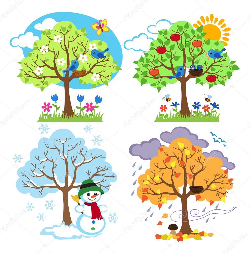 Four Seasons Trees Clipart and Vector with Spring, Summer, Fall.