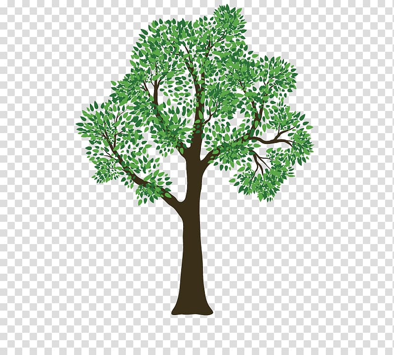 Rivas Tree Service Pruning, plant transparent background PNG.