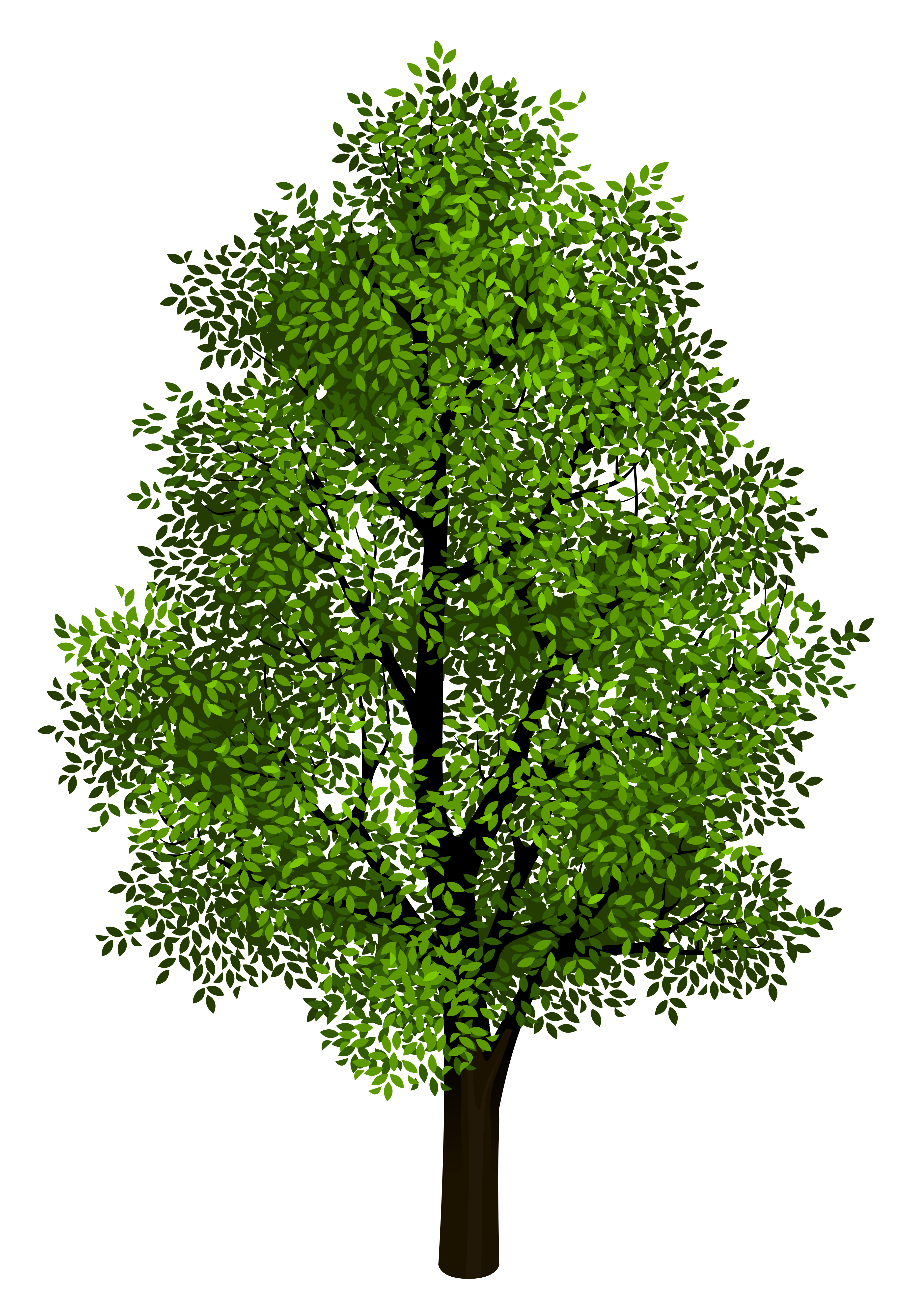 Green Tree Transparent Clipart Picture.
