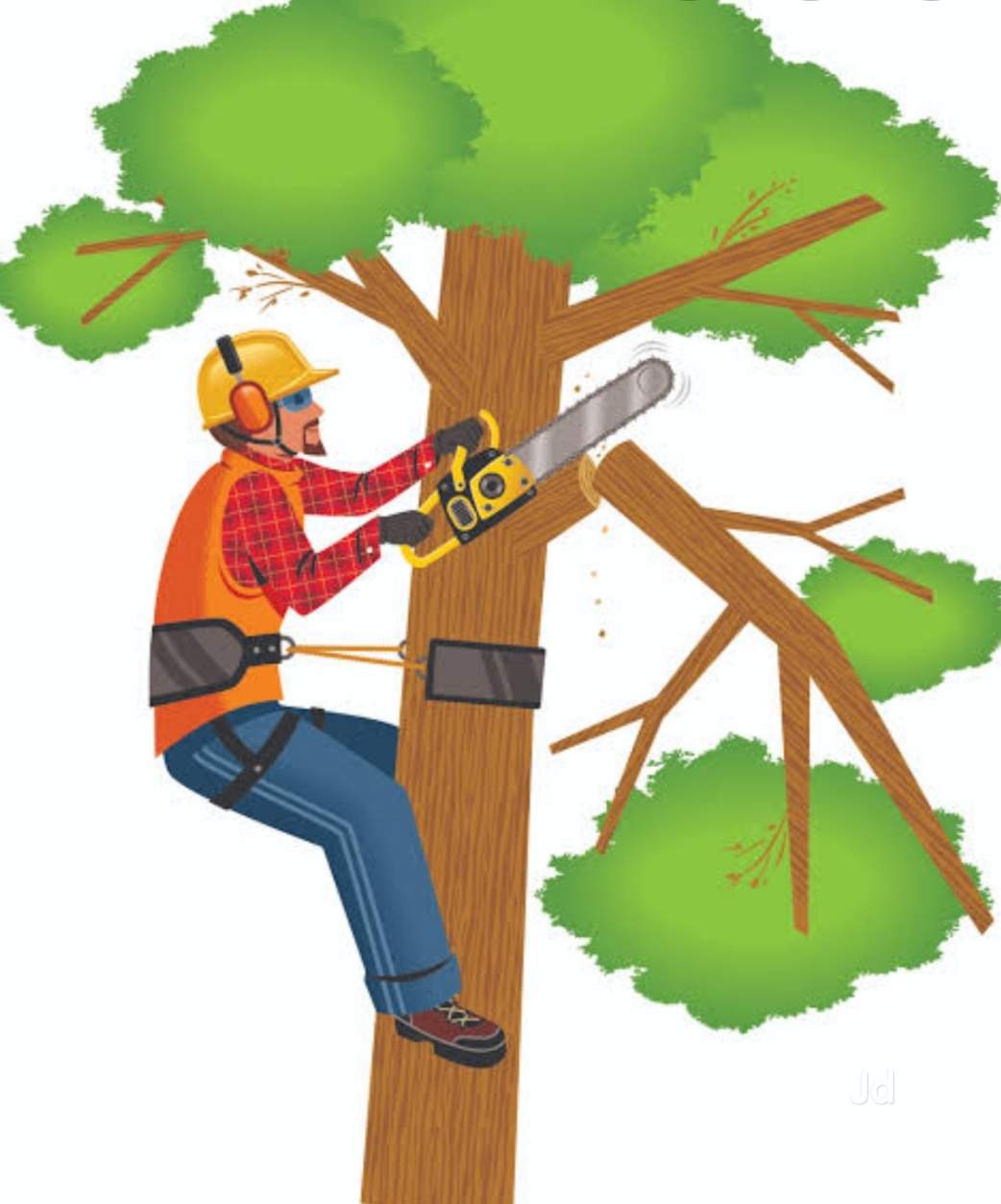 Top 30 Tree Cutting Services in Bangalore.