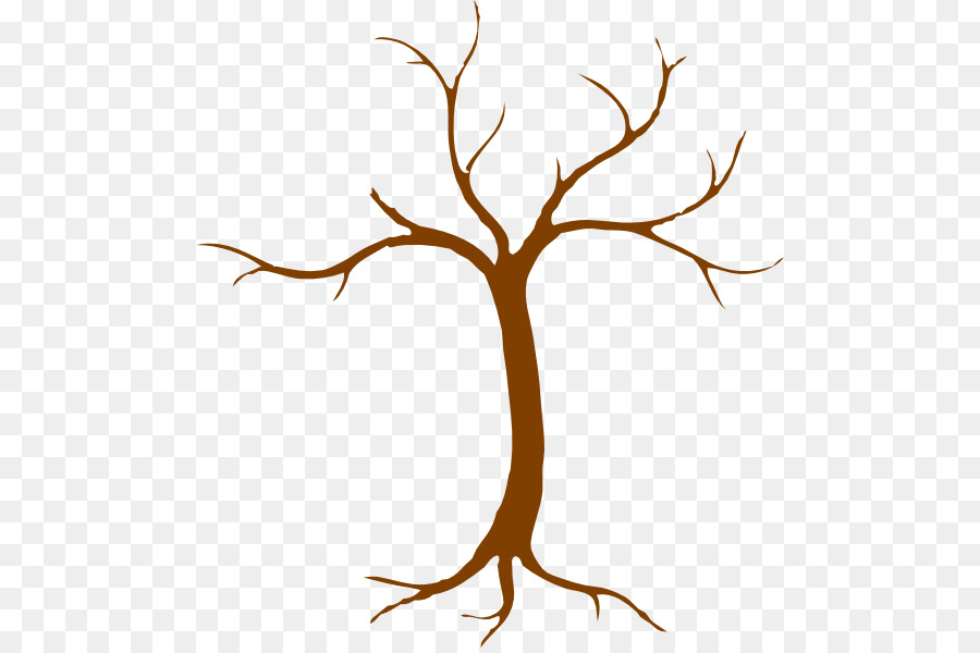 Tree Root.