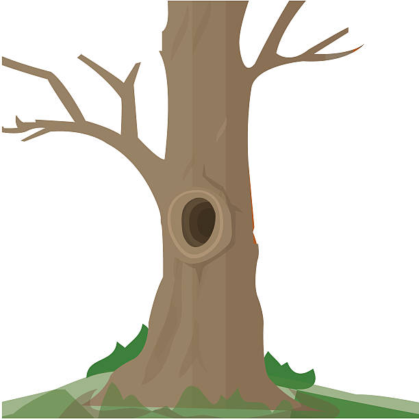 tree trunk clip art 10 free Cliparts | Download images on Clipground 2022