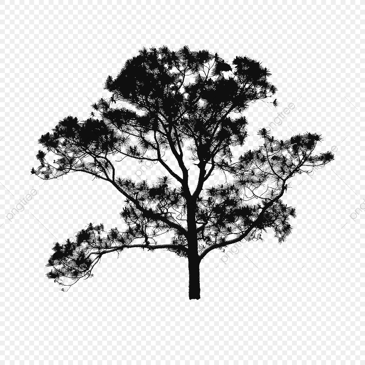 Tree Plan Clipart Free Vector, Tree Vector Clipart, Tree.