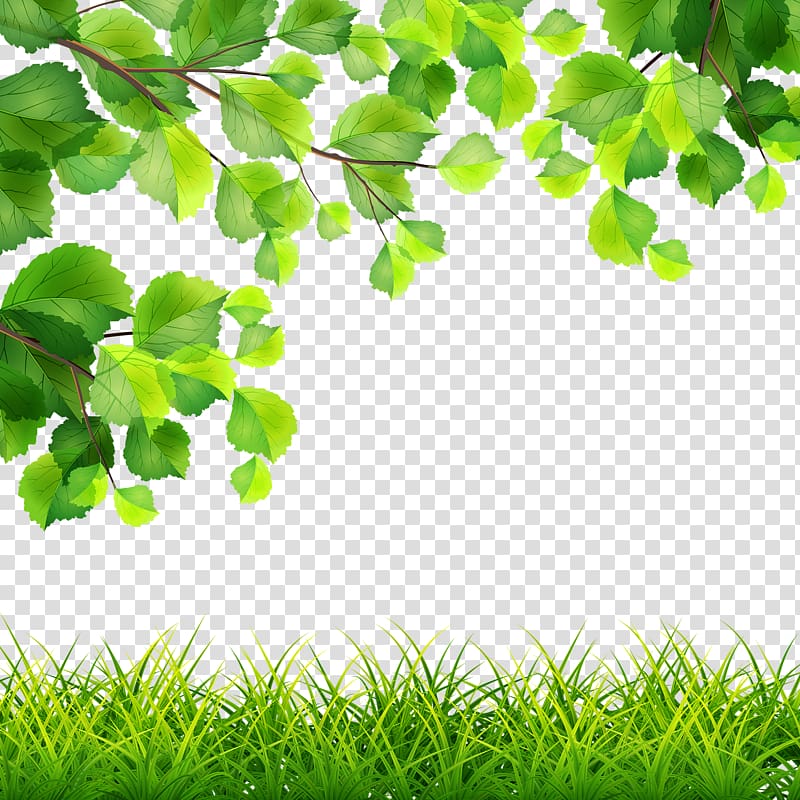 Green tree and grass illustration, Green Branch Illustration.