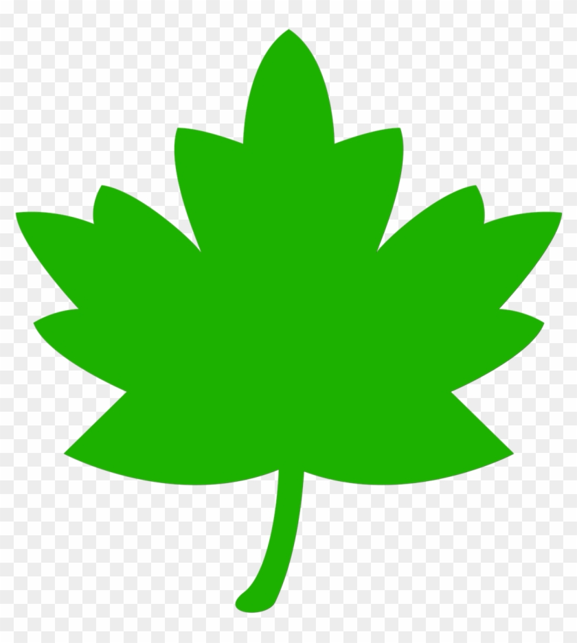 Icon Leaf Green Tree Nature Png Image.