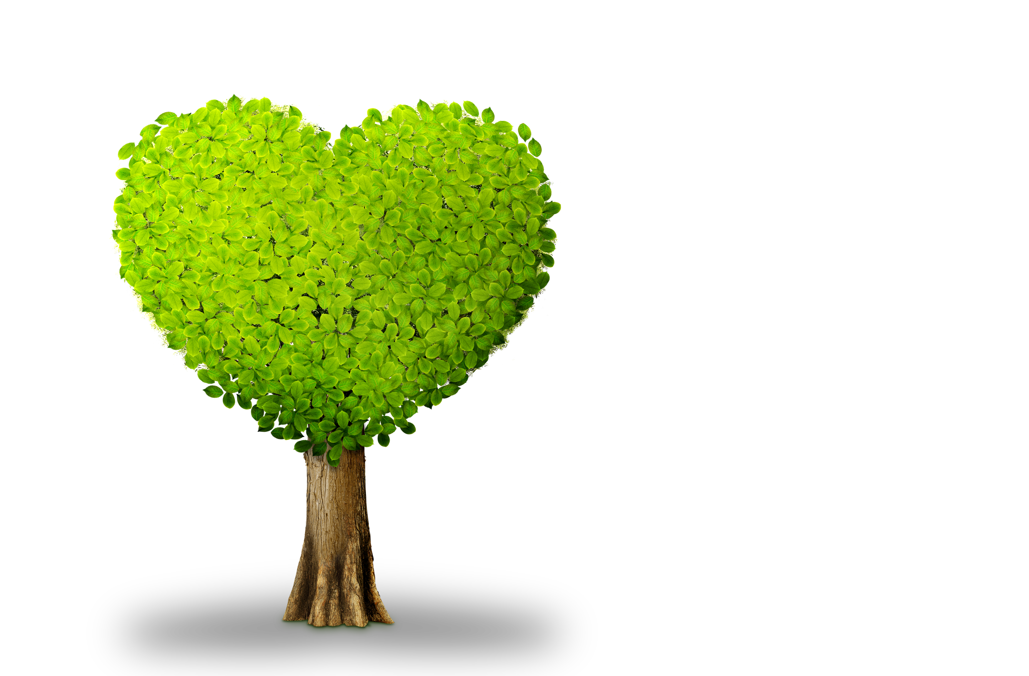 Plant Tree Heart.