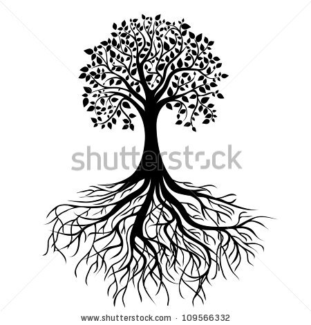 Tree Roots Stock Images, Royalty.