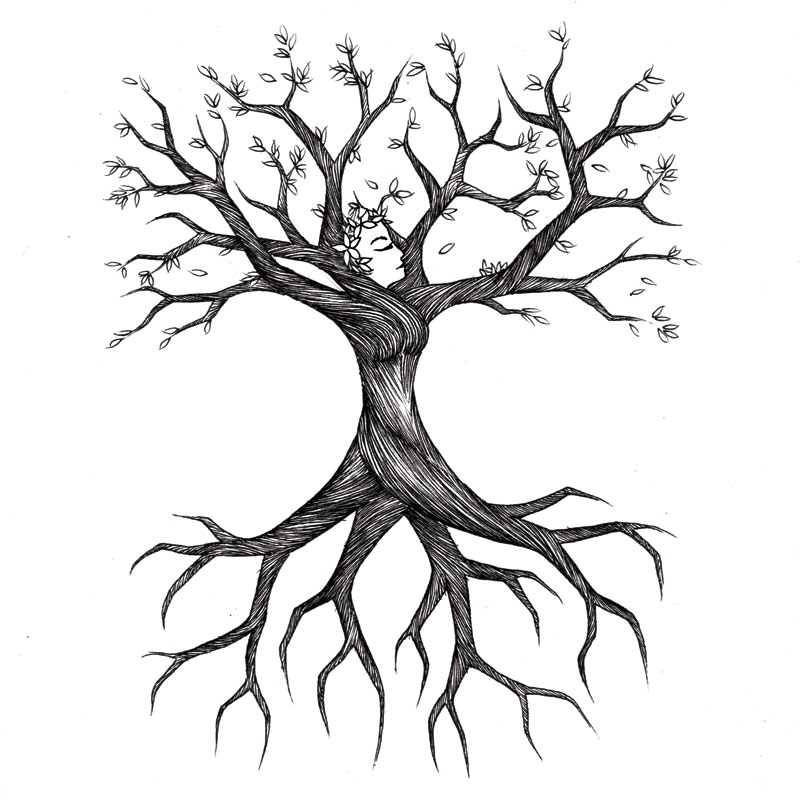 tree with roots clipart outline 20 free Cliparts | Download images on