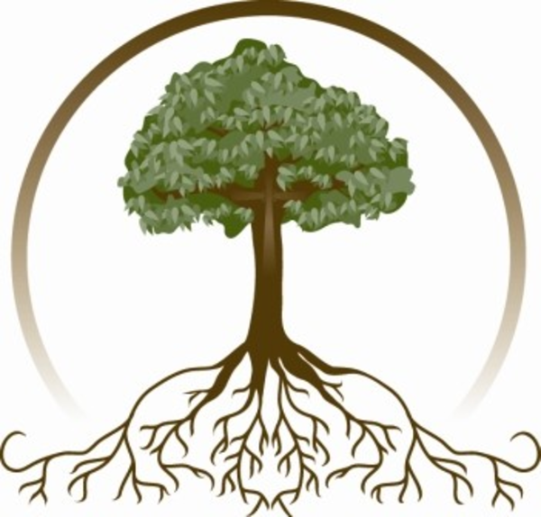 Free Tree Roots Png, Download Free Clip Art, Free Clip Art.