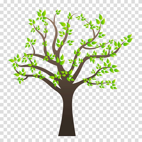 Family tree Family tree , arboles transparent background PNG.