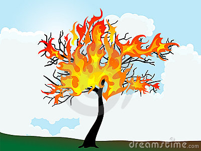 Burning tree clipart.