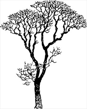 Free Trees Clipart.