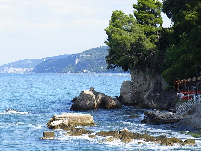 sea, rock, see, water, surface, nature, outlook, trees.