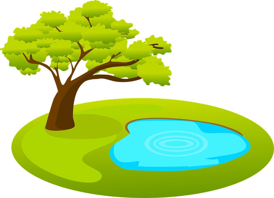 Free vector graphic: Pond, Tree, Water, Nature.