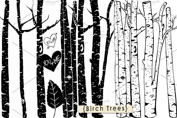 Birch Tree ClipArt + Photoshop Brush.