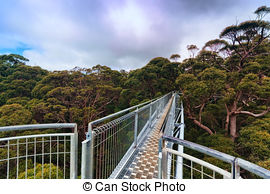 Treetop Stock Photos and Images. 5,618 Treetop pictures and.