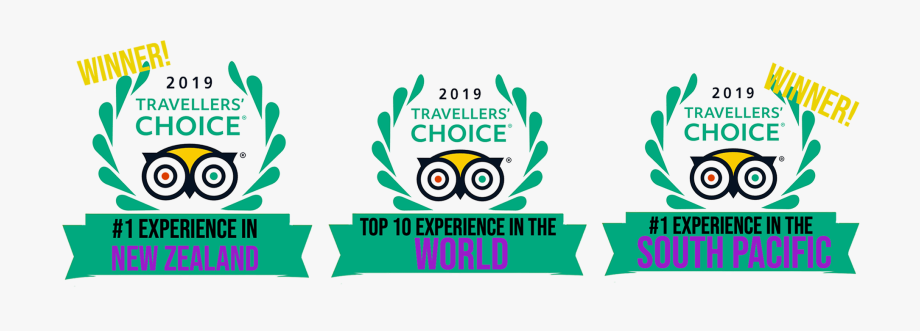 2019 Tripadvisor Excellence Award Logo , Transparent Cartoon.