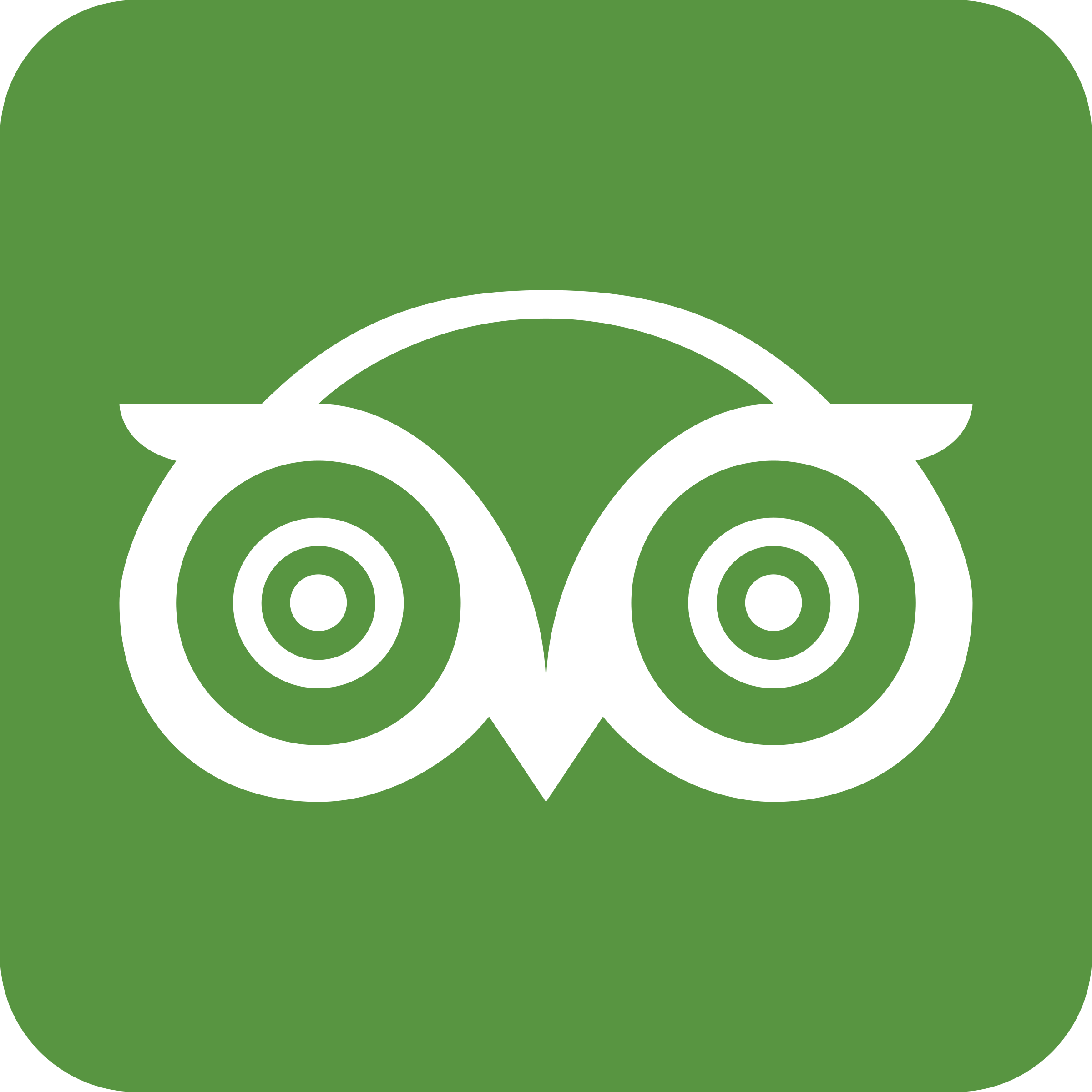 tripadvisor logo png 10 free Cliparts | Download images on Clipground 2021