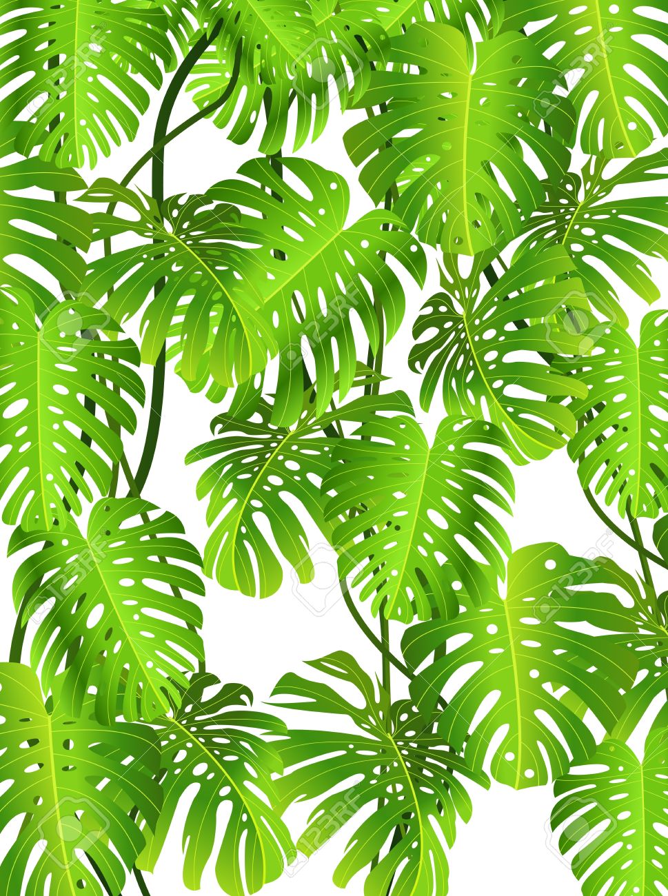 Tropical background clipart 6 » Clipart Station.