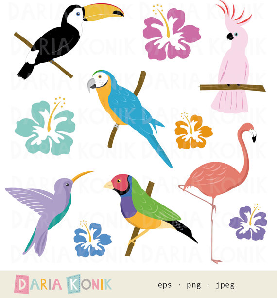 Clipart tropical birds.