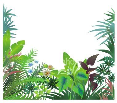 Free Tropical Border Cliparts, Download Free Clip Art, Free.